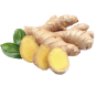 Zázvor